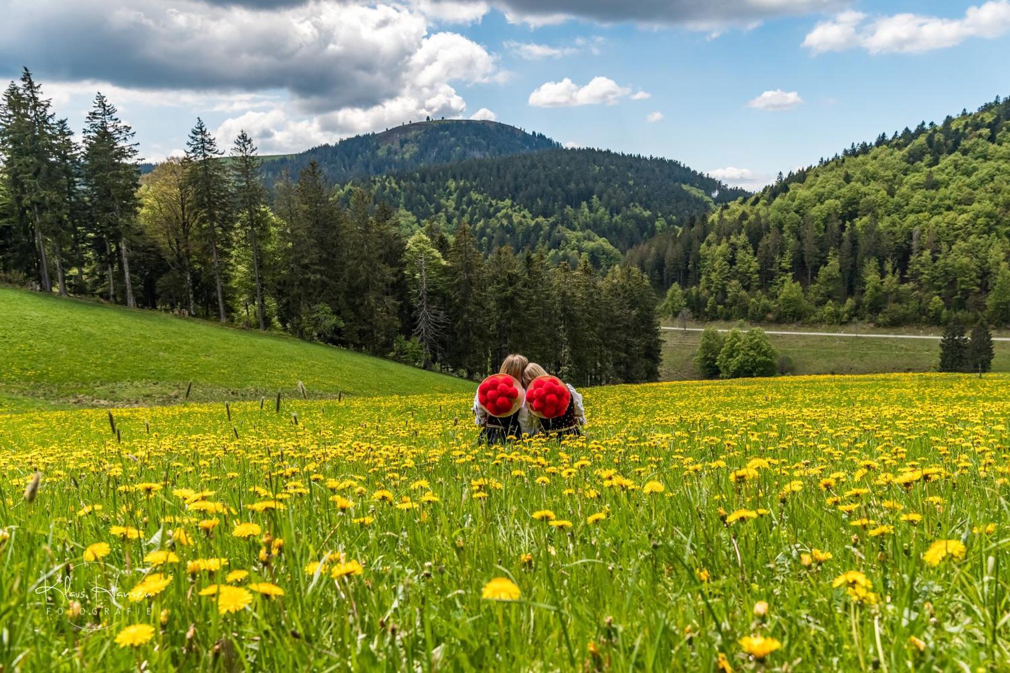 Schwarzwaldhaus Sonnenstrasse, Oberried-Hofsgrund, Dreisamtal Villa Oberried  Bagian luar foto