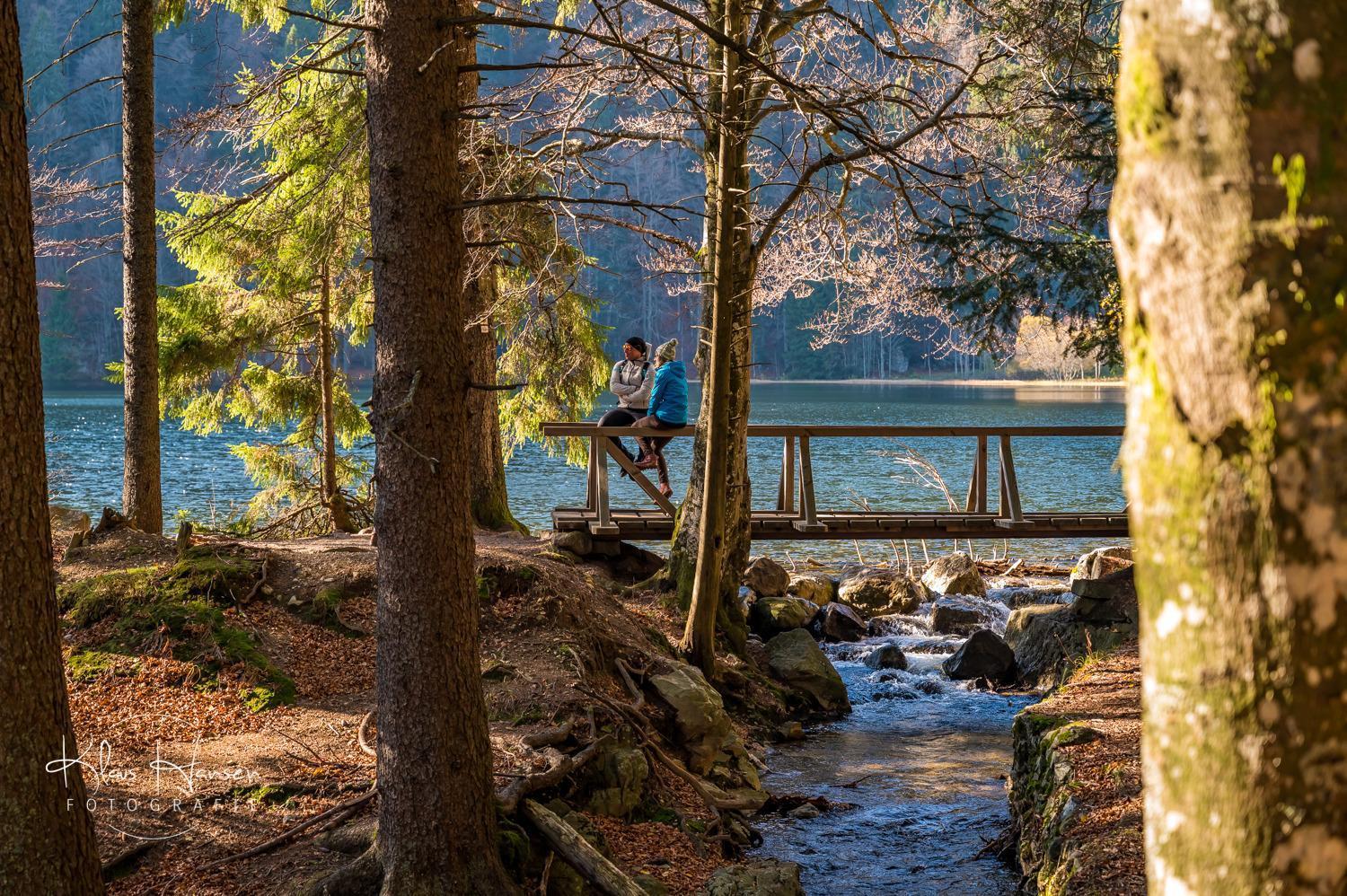 Schwarzwaldhaus Sonnenstrasse, Oberried-Hofsgrund, Dreisamtal Villa Oberried  Bagian luar foto