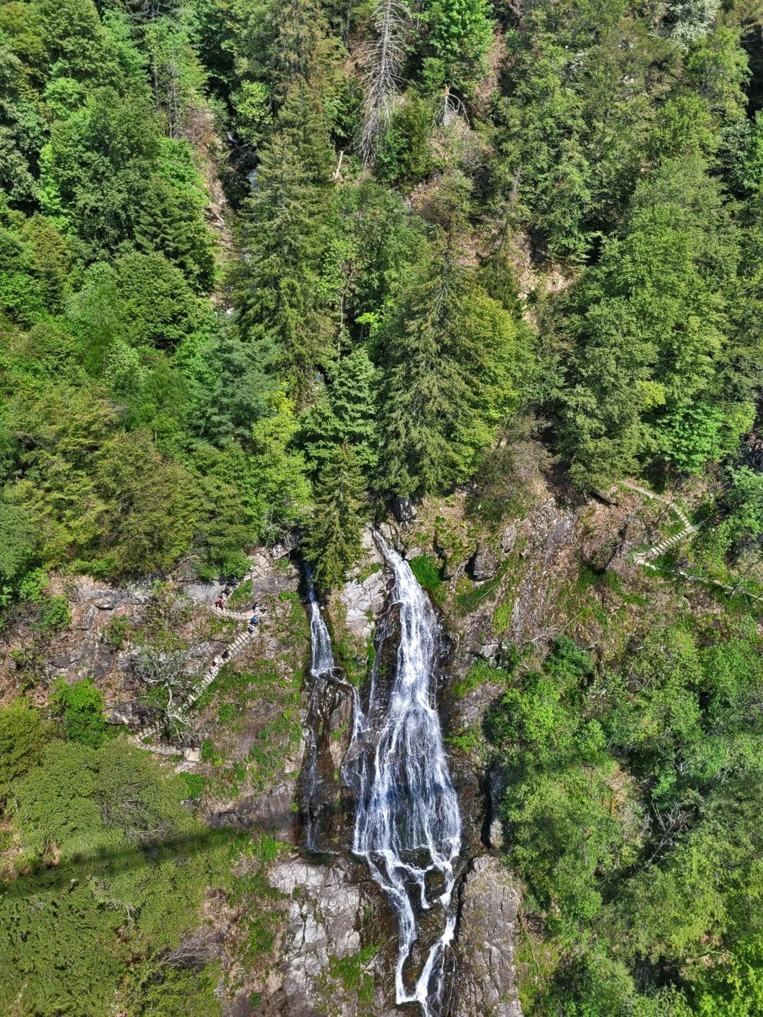 Schwarzwaldhaus Sonnenstrasse, Oberried-Hofsgrund, Dreisamtal Villa Oberried  Bagian luar foto